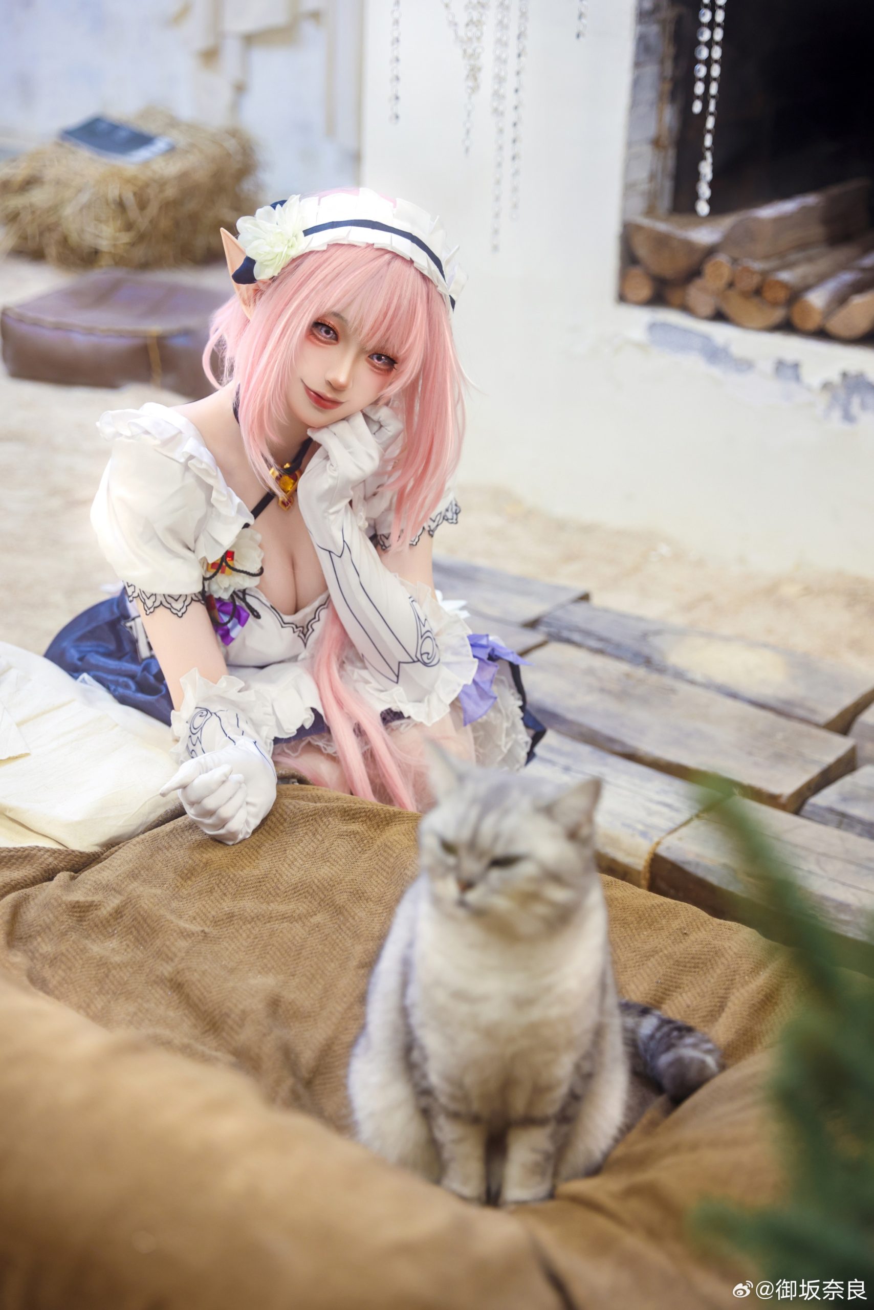 [COSPLAY] 亲爱的舰长，你来啦～ 崩坏3 爱莉希雅@御坂奈良