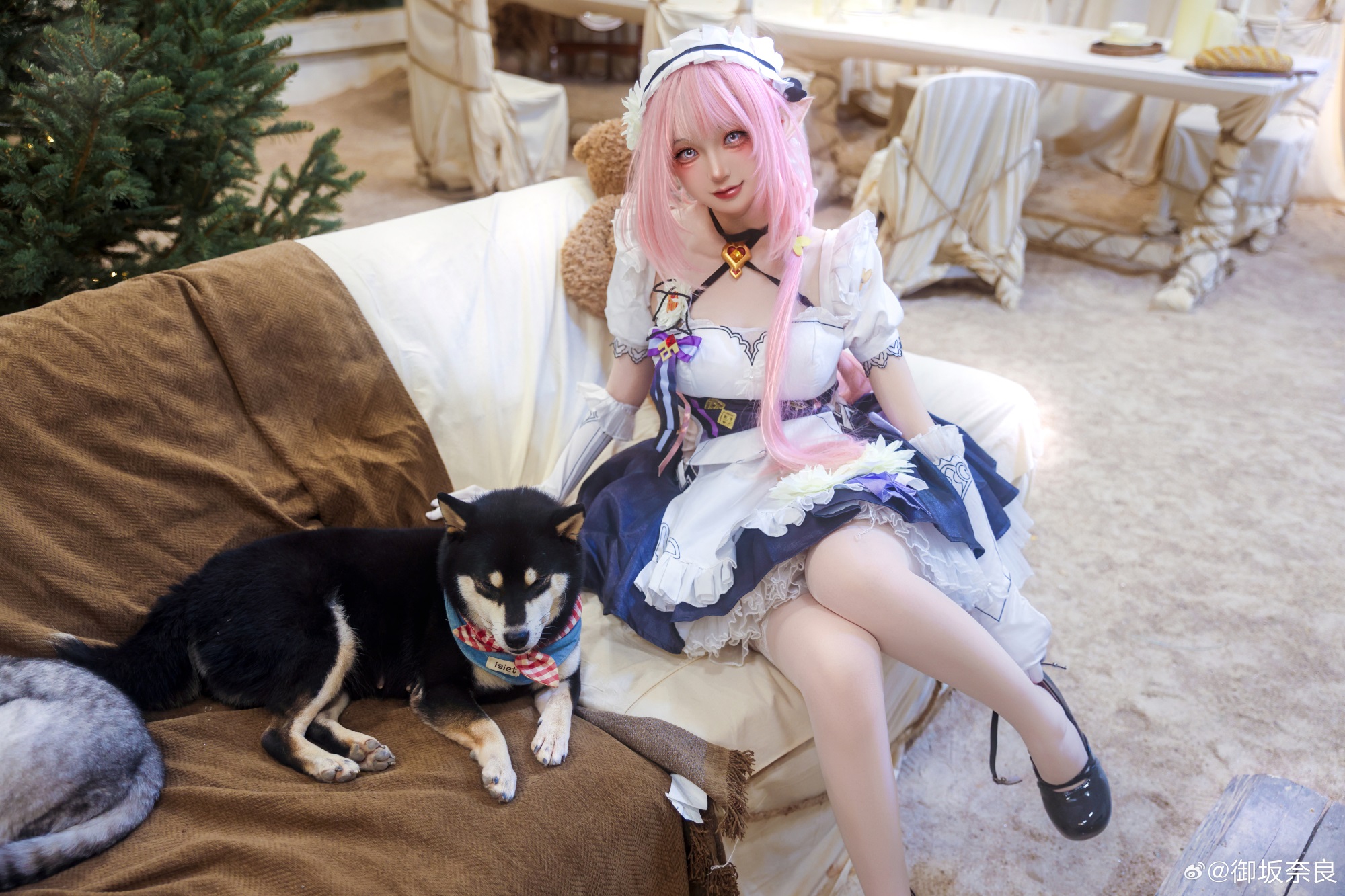 [COSPLAY] 亲爱的舰长，你来啦～ 崩坏3 爱莉希雅@御坂奈良