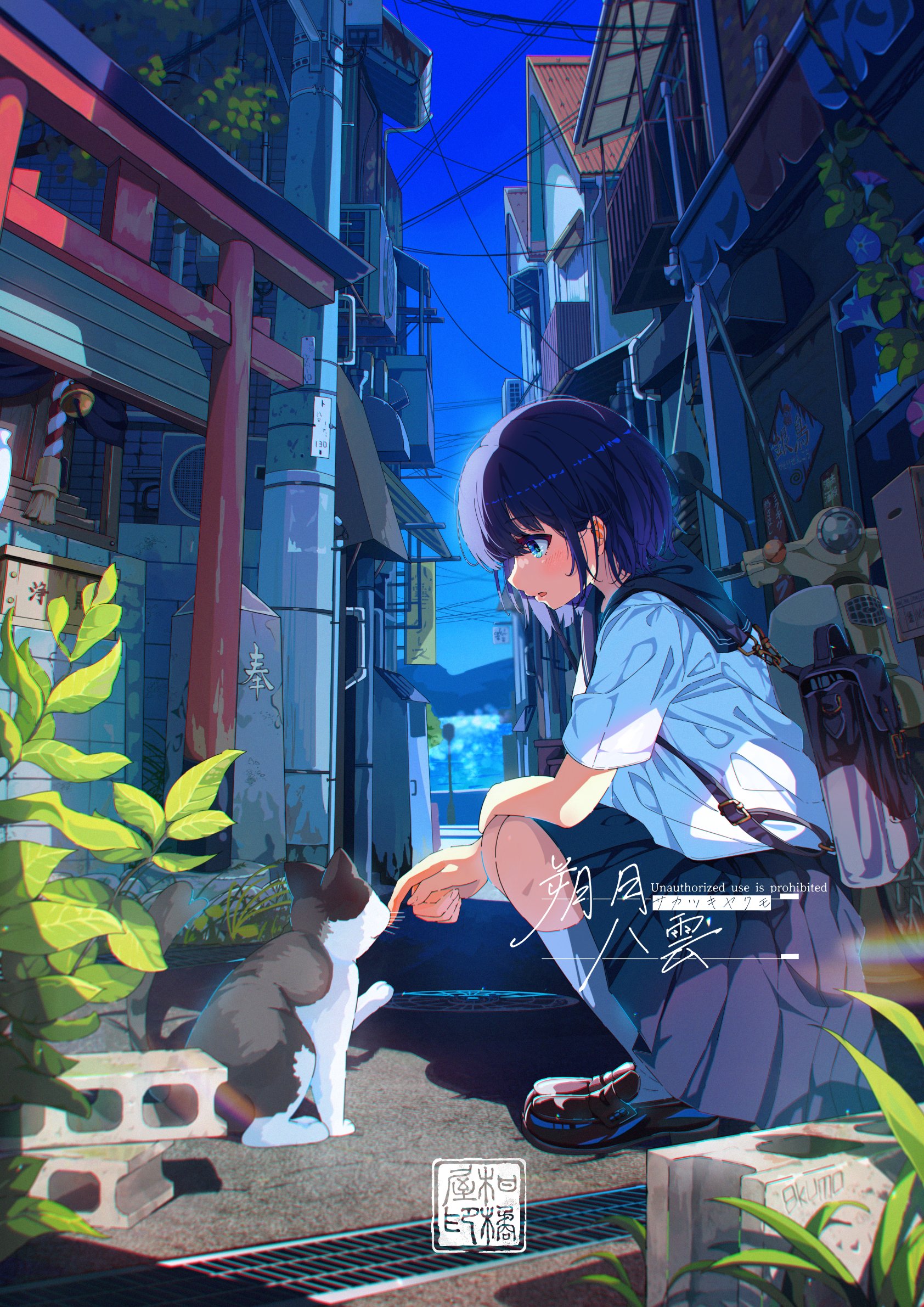 P站精选散图作品299期 在线欣赏 20P